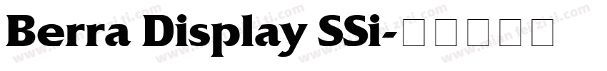 Berra Display SSi字体转换